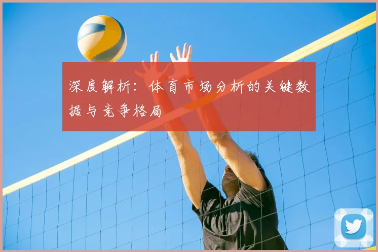 深度解析:体育市场分析的关键数据与竞争格局