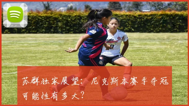 苏群独家展望:尼克斯本赛季夺冠可能性有多大?